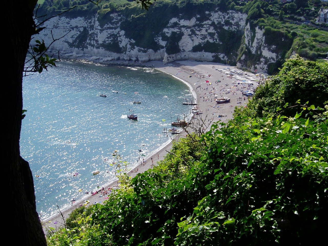 Beer, Devon